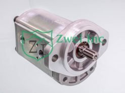01990110 Tandem Hydraulic Gear Pump | Casappa