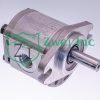 00371355 Hydraulic Gear Motor | Casappa