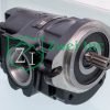 019800A1 Single Hydraulic Gear Pump | Casappa