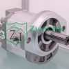 0199003E Hydraulic Gear Motor | Casappa