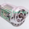 01990110 Tandem Hydraulic Gear Pump | Casappa