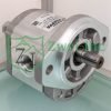 Motor 019980ET from the Casappa Hydraulic Gear Motor Collection