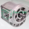 019980L3 Hydraulic Gear Motor | Casappa