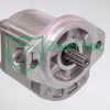 019980L4 Hydraulic Gear Motor | Casappa