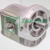 Motor 019980L5 from the Casappa Hydraulic Gear Motor Collection