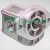 019980L6 Hydraulic Gear Motor | Casappa