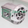 019980L9 Hydraulic Gear Motor | Casappa