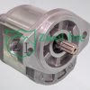 019980L0 Hydraulic Gear Motor | Casappa