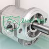 019984M1 Single Hydraulic Gear Pump | Casappa