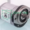 019986DD Hydraulic Gear Motor | Casappa