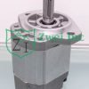 019988QX Hydraulic Gear Motor | Casappa