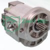 01999100 Hydraulic Gear Motor | Casappa