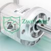 019991S4 Hydraulic Gear Motor | Casappa