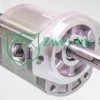 01999843 Hydraulic Gear Motor | Casappa
