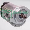 02006040 Single Hydraulic Gear Pump | Casappa