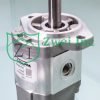02019438 Hydraulic Gear Motor | Casappa