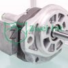 0300360 Hydraulic Gear Motor | Parker | Tyrone