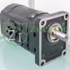 03562018 Hydraulic Gear Motor | Casappa