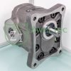Motor 035656C1 from the Casappa Hydraulic Gear Motor Collection