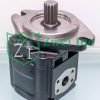 Motor 03577322 from the Casappa Hydraulic Gear Motor Collection