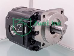 Motor 03637059 from the Casappa Hydraulic Gear Motor Collection