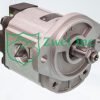 3349210036 Hydraulic Gear Motor | Parker