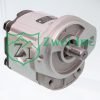 3349219029 Hydraulic Gear Motor | Parker