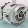 3349219365 Hydraulic Gear Motor | Parker