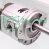 3349219533 Hydraulic Gear Motor | Parker