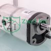 66600206 Tandem Hydraulic Gear Pump | Casappa