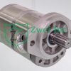 66615624 Tandem Hydraulic Gear Pump | Casappa