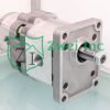 Piggyback Pump 67107425 from the Casappa Hydraulic Gear Pump Collection