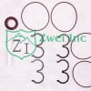 P17-SK2VV Service Parts - Seal Kit | Zwei Inc