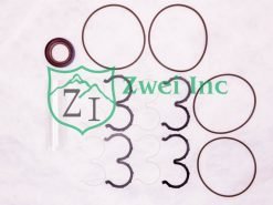 Seal Kit P17-SK2VV from the Zwei Inc Service Parts Collection