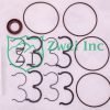 Seal Kit P5-SK2VV from the Zwei Inc Service Parts Collection