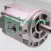 Motor S19986V5 from the Casappa Hydraulic Gear Motor Collection
